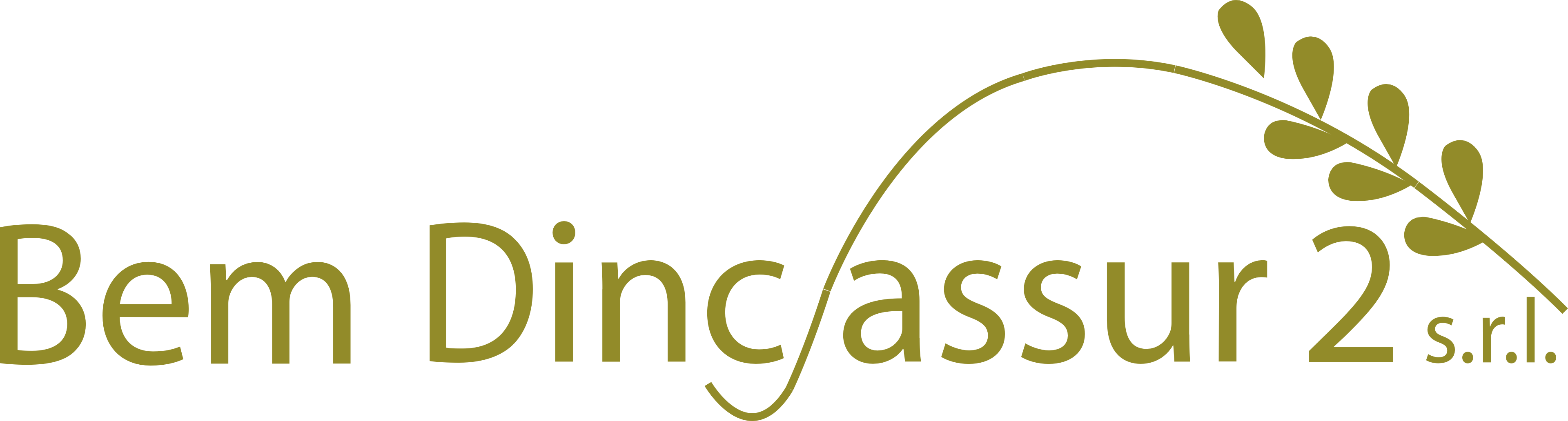 Bem Dincassur 2 s.r.l.